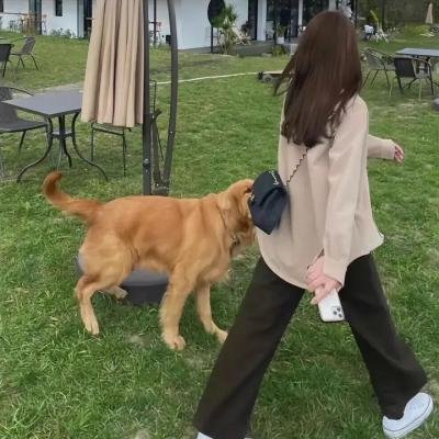 城主是我的